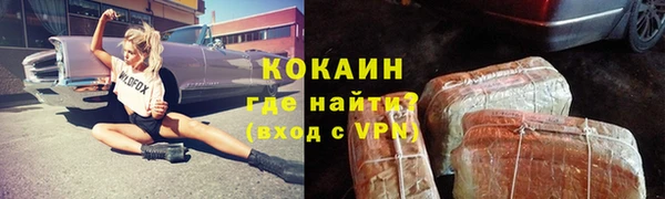 прущий лед Богданович