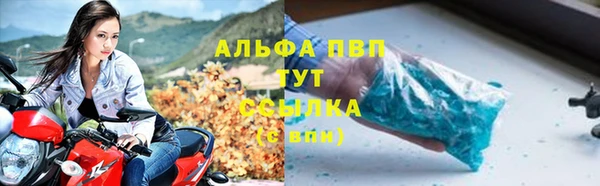 сатива Богородицк