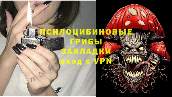 прущий лед Бронницы
