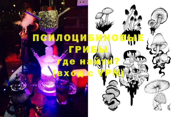 сатива Богородицк