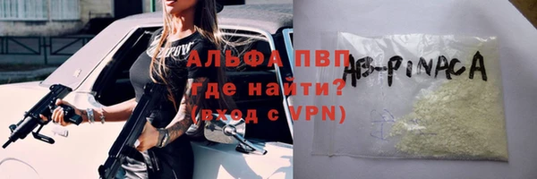 прущий лед Богданович