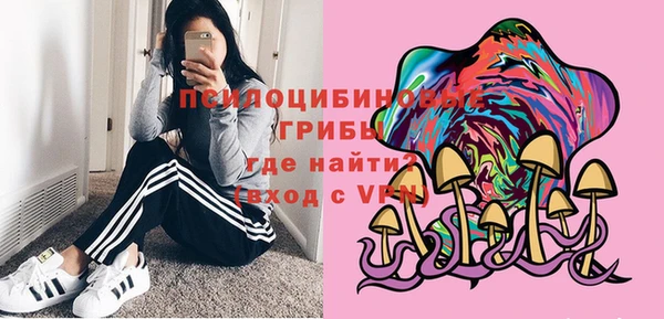 прущая мука Богородск