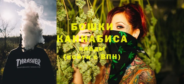 прущий лед Богданович