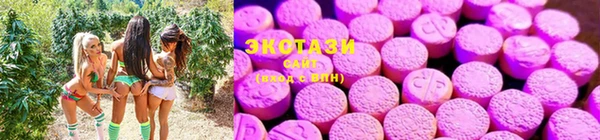 прущий лед Богданович