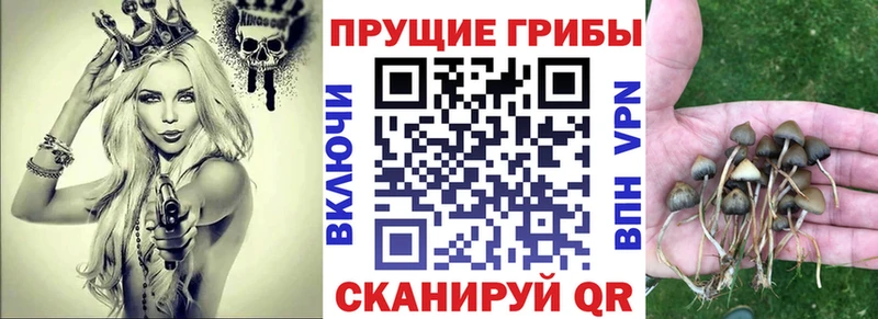 Псилоцибиновые грибы Magic Shrooms  Городовиковск 